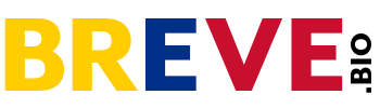 Website logo